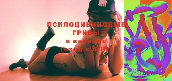 шишки Красноперекопск