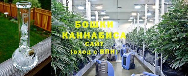 твердый Краснослободск