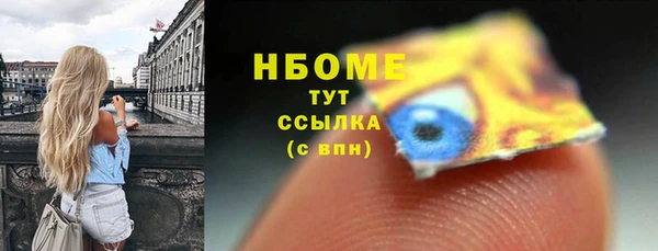 твердый Краснослободск