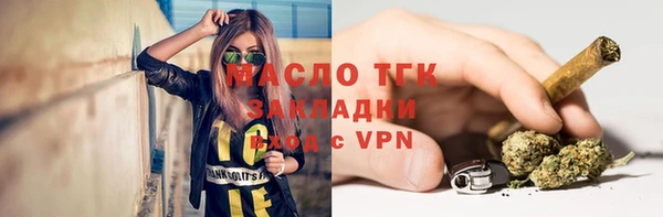 твердый Краснослободск