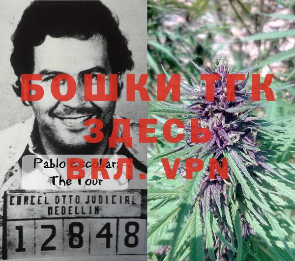 шишки Красноперекопск