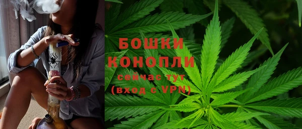 твердый Краснослободск