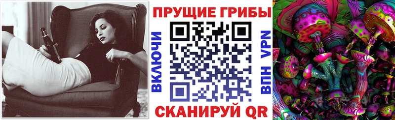 Купить закладки  Струнино  Галлюциногенные грибы GOLDEN TEACHER 